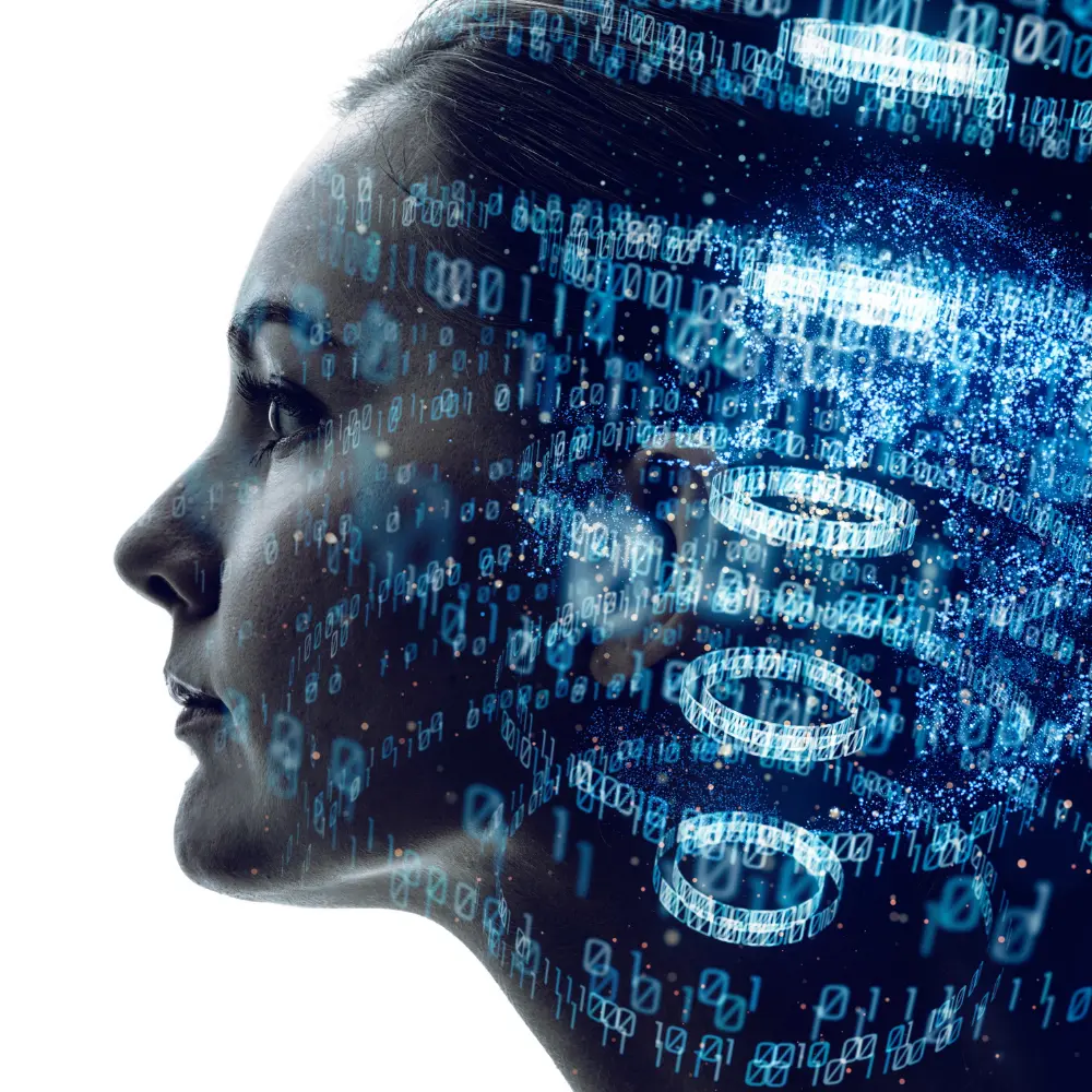 Imagen gemelo digital